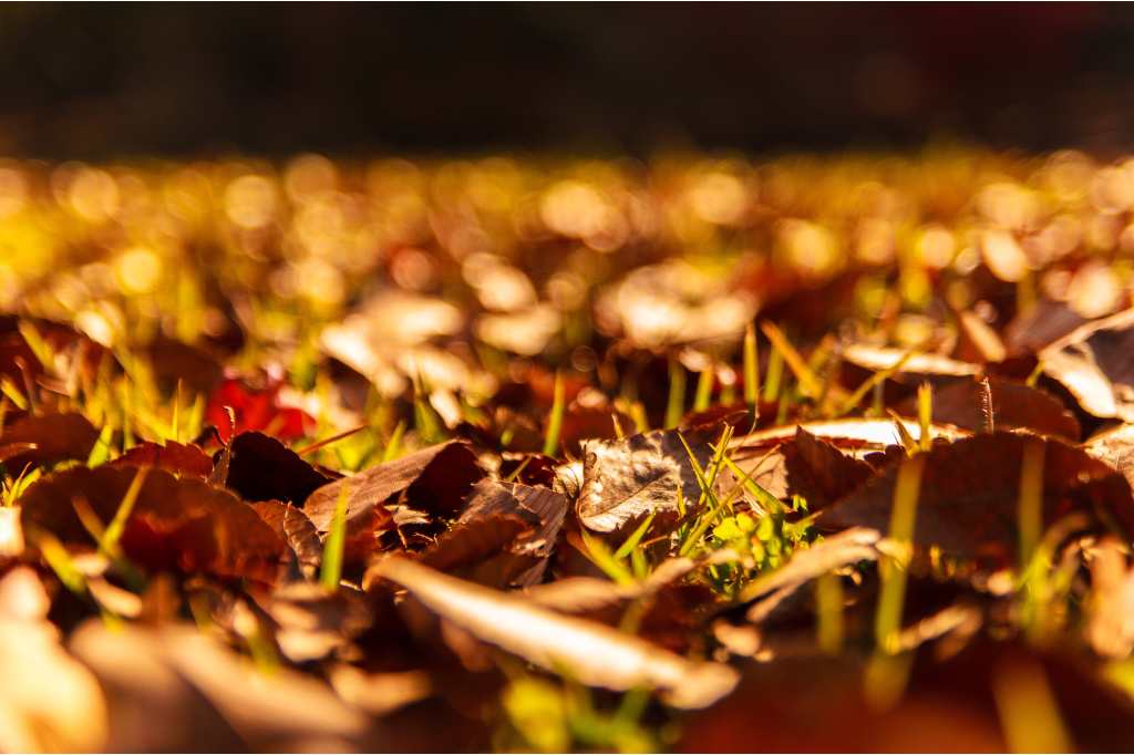 Precious Metal Recycling Service