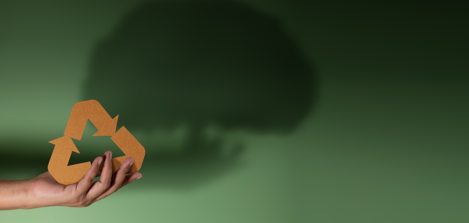 recycling awareness campaign